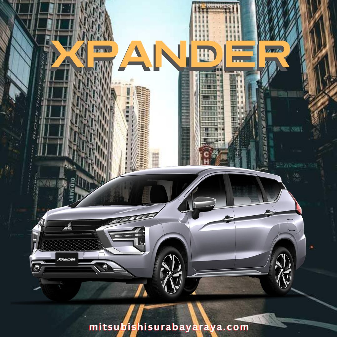 New X Pander